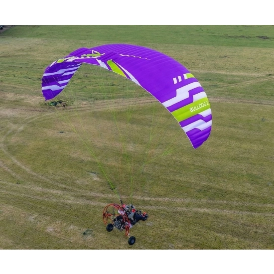 Bulldog 2 (przedsprzedaż)